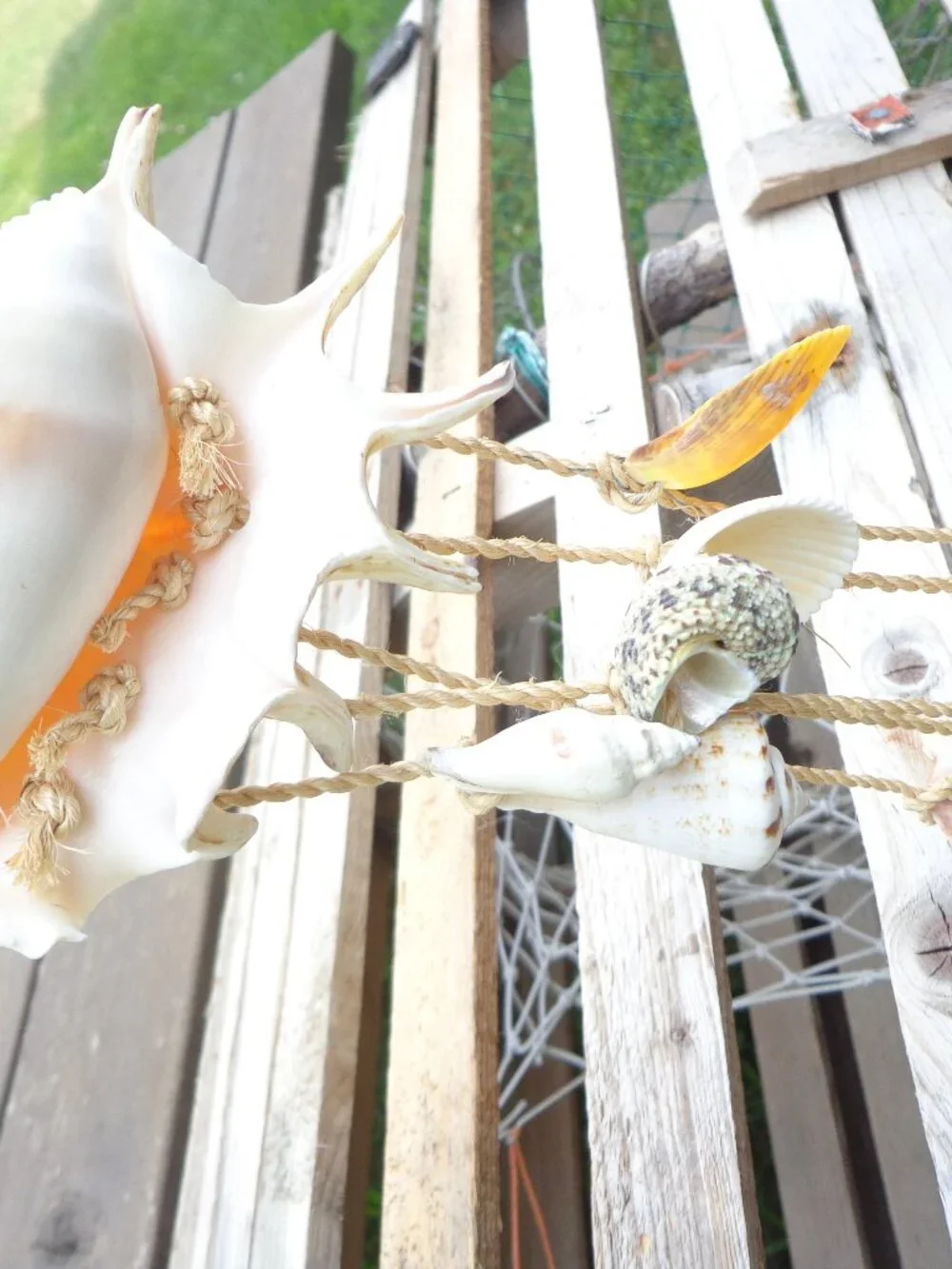 Sea Shells/Rope Wind Chime Nautical Coastal Authentic Various Shells 32